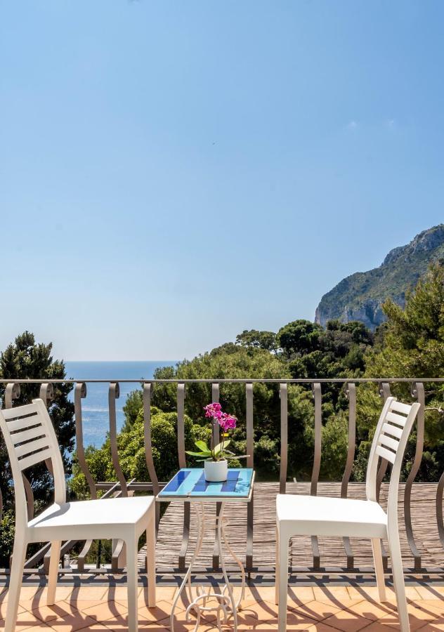 Oliveto Capri Apartments Eksteriør billede